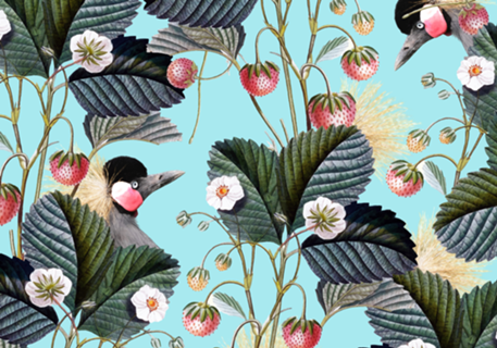 Strawberry Bush Hide-Out