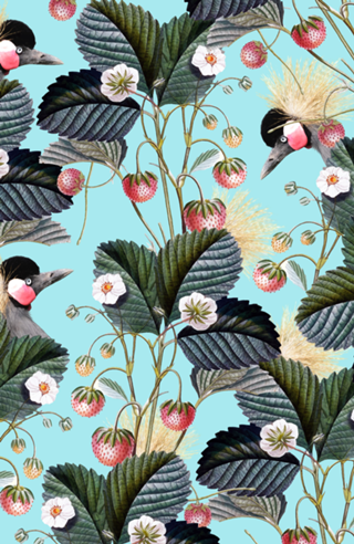 Strawberry Bush Hide-Out