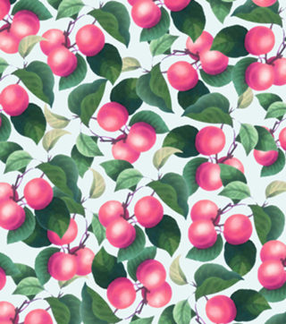 Tropical Fruit V2