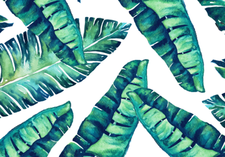 Tropical Glam