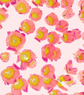 Flower Therapy
