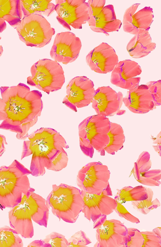 Flower Therapy