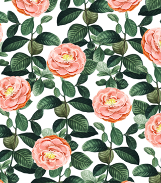 Josephine | Vintage Rose Garden Illustration