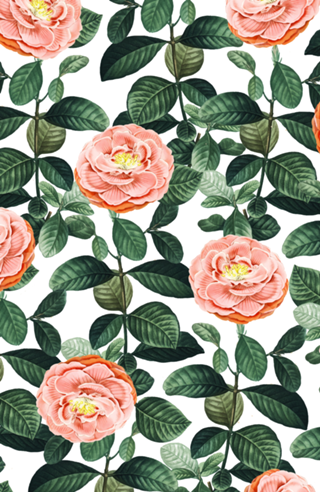 Josephine | Vintage Rose Garden Illustration