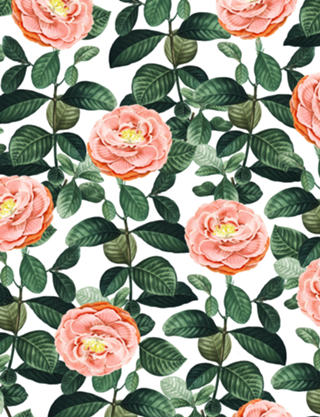 Josephine | Vintage Rose Garden Illustration