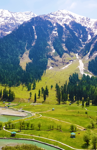 Kashmir