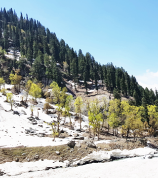 Kashmir v2