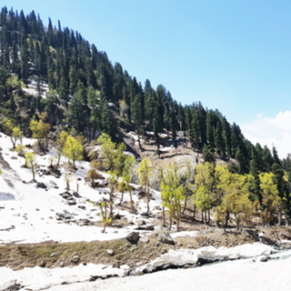 Kashmir v2