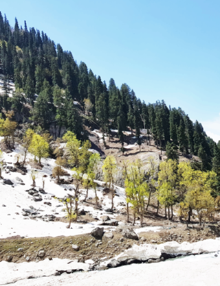 Kashmir v2