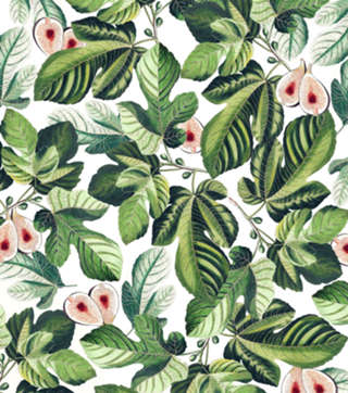 Fig Garden