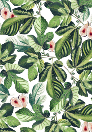 Fig Garden