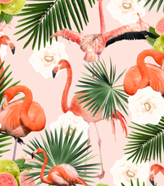Flamingo Guava