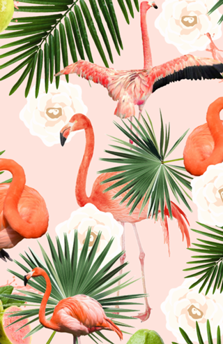 Flamingo Guava