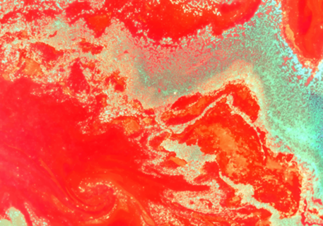 Sea Green and Coral