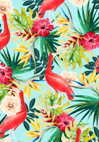 Hawaiian Vibe
