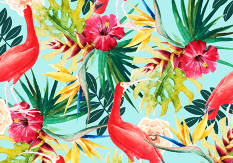 Hawaiian Vibe