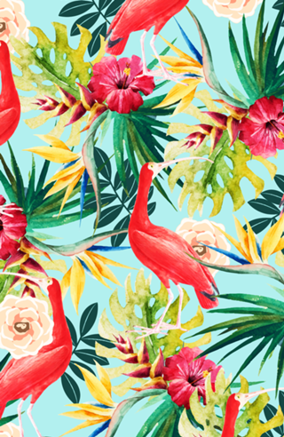 Hawaiian Vibe