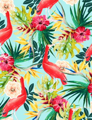 Hawaiian Vibe