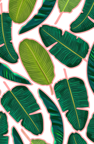 Banana Leaf Blush