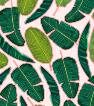 Banana Leaf Blush