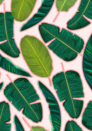 Banana Leaf Blush