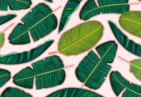 Banana Leaf Blush