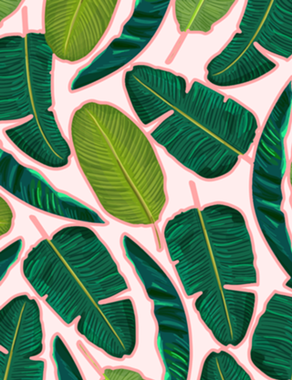 Banana Leaf Blush