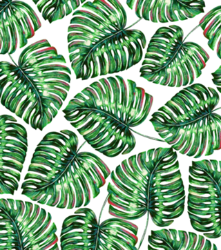 Tropical Greenery