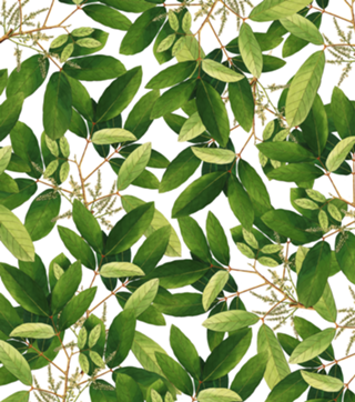 Greenery