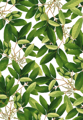 Greenery