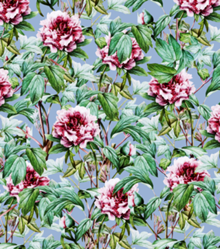 Frosty Florals