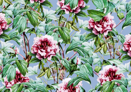 Frosty Florals