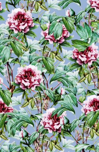 Frosty Florals
