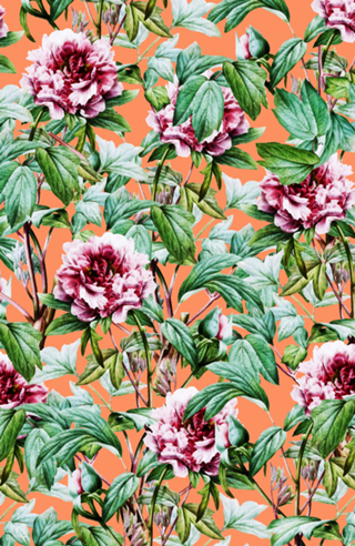 Frosty Florals V2