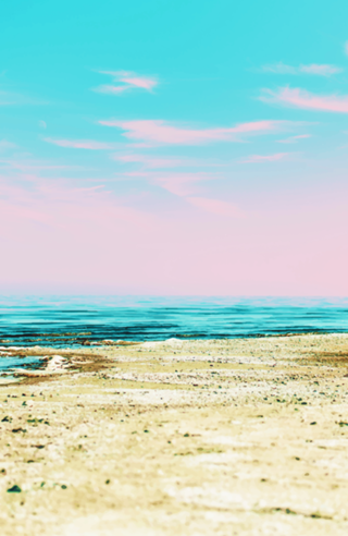 The Beach