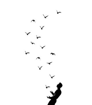 Set Free