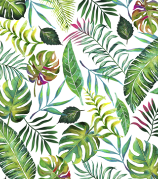 Tropical Flora