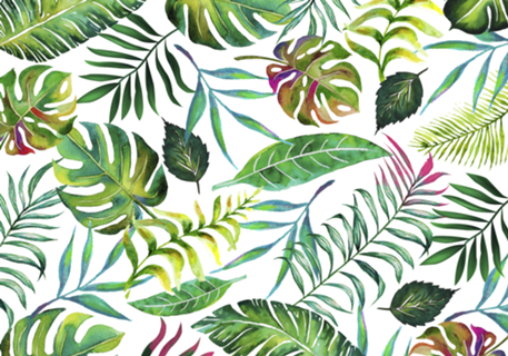 Tropical Flora