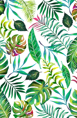 Tropical Flora