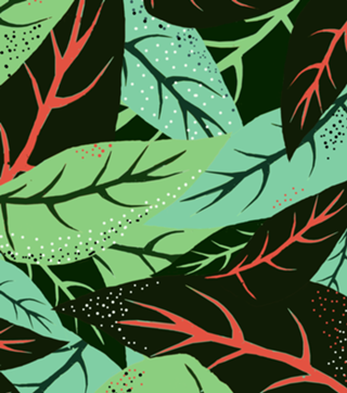 The Dark Jungle | Mystery Eclectic Forest