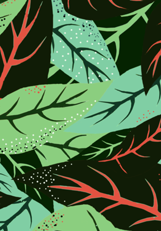 The Dark Jungle | Mystery Eclectic Forest