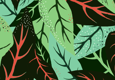 The Dark Jungle | Mystery Eclectic Forest