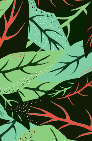 The Dark Jungle | Mystery Eclectic Forest