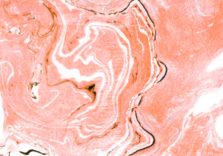 Coral Blush Marble