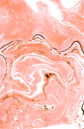 Coral Blush Marble