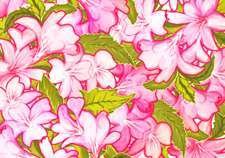 Pink Wonder