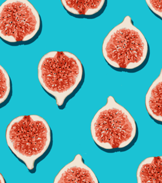 Fig Lover