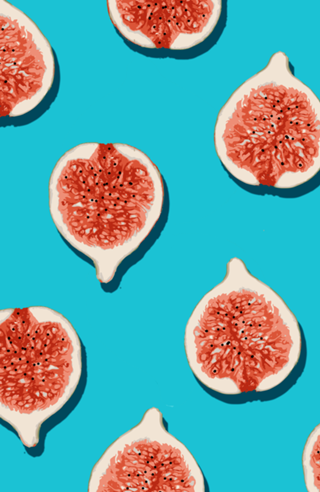 Fig Lover