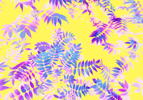 Vibrance