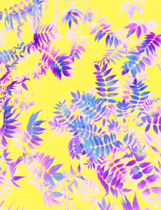 Vibrance